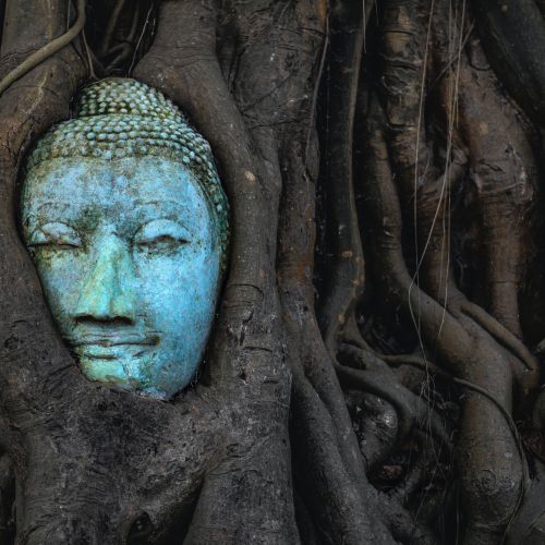 Der Buddhismus: Definition und Prinzipien